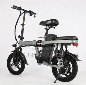 New Design Foldable Electric Bicycle 14 Inches Vacuum Tyre 48V 12Ah