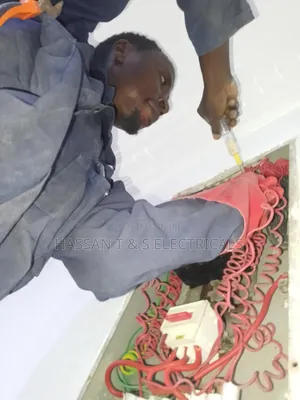 Professional Electrician