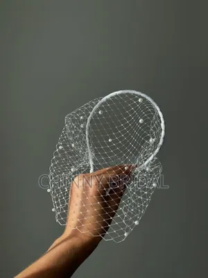Cage Veil Fascinator