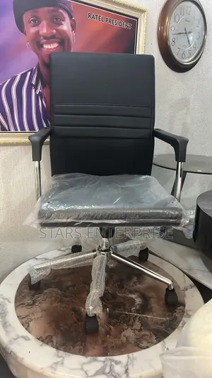 Swivel Chair / Modern Office Chair