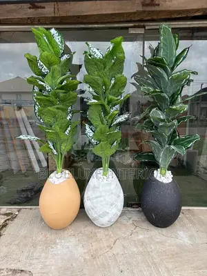 Flower Vase With Flower