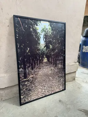 Art Frame Decor