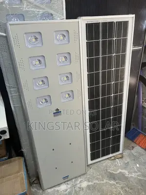 60w Wakatek Street Light