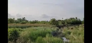 120ft by 60ft Single Plot With Complete Documents
