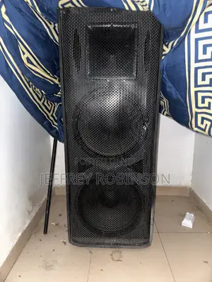 Long Range Speaker