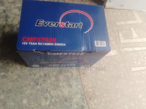 Everstart 75ahs Car Battery
