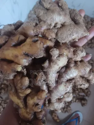 Fresh Kaduna Ginger