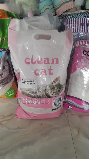Cats Littre ( Cats Sand)