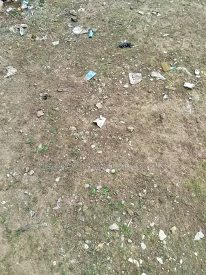 1430sqm Land Yaba