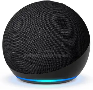 Amazon Echo Voice Assistant for Smart Home Commands