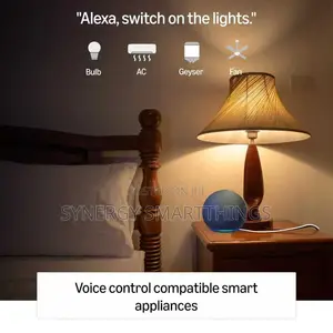 Amazon Echo Voice Assistant for Smart Home Commands