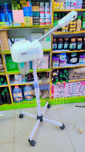 Facial Steamer