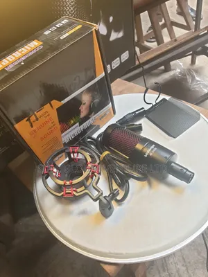 Professional Birdsinger AT-2020 Condenser Microphone