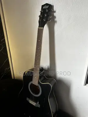 Semi Acoustic Guitar