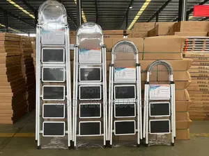 5 Steps Kitchen Ladder