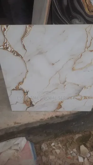 60*60 Nigeria Tile