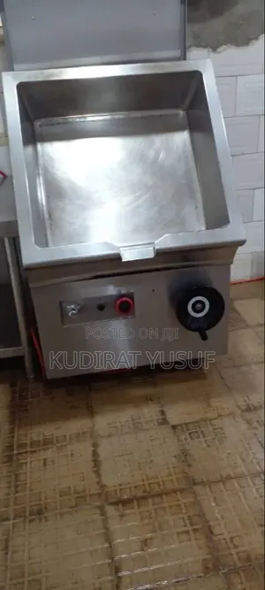 Electrical Fryer
