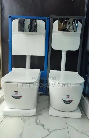 Concealed Wall-Hung Toilet With Flush Tank