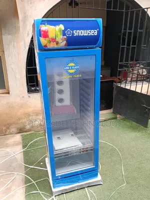 SNOWSEA Upright Chiller LC-300W 300L Display Fridge