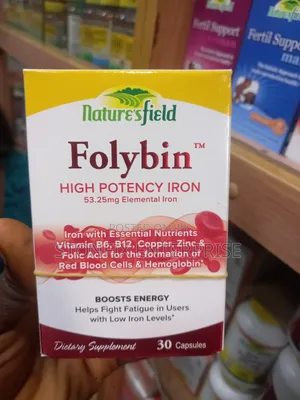Folybin High Potency Iron