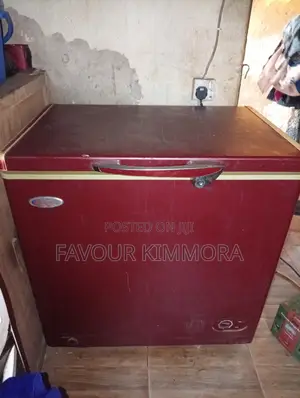295L Solid Deep Freezer