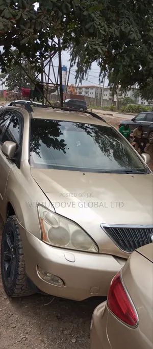 Lexus RX 2007 Brown