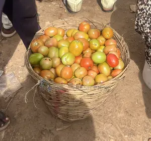 Utc Tomatoes