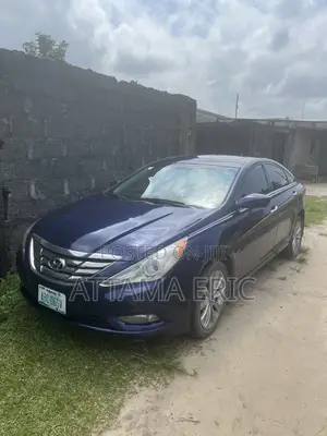 Hyundai Sonata 2011 Blue