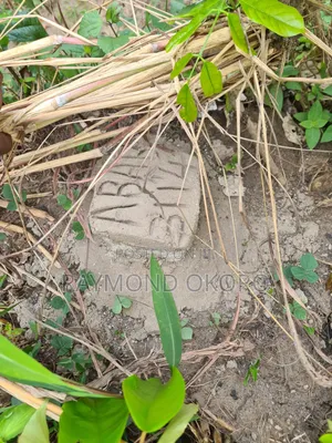 Land for Sale at Aba Obete Nchina