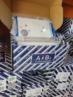 ABt Electrical Socket Double White Body