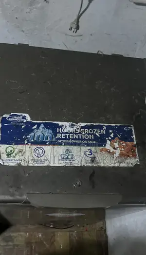 Standing Freezer