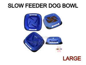 Plastic Bowl Slow Feeder (0117)