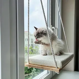 Paws Chicks Purr-Fect Perch