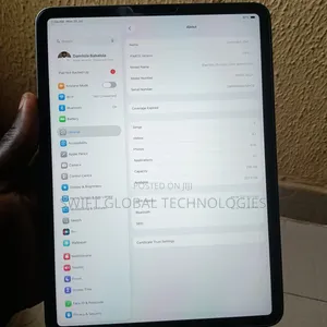 Apple iPad Pro 256 GB Gray