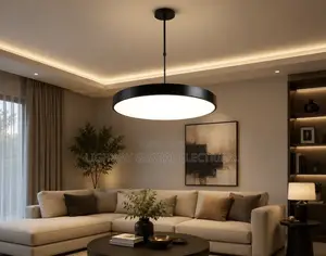 Minimalist Led Round Chandelier