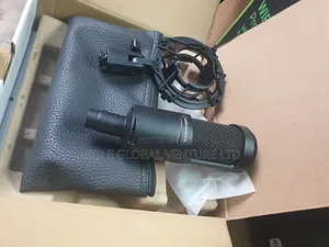 Professional Audio-Technica AT2035