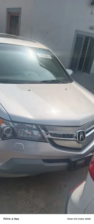 Acura MDX 2009 Silver