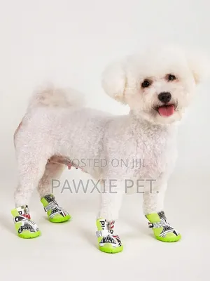 Nunbell Pet Shoes M