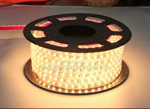 LED Rope Light