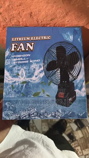 Lithium Electric Fan.