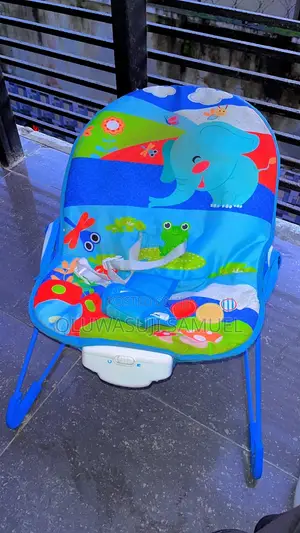 Baby Bouncer (Or Infant Rocker/Bouncer Seat)