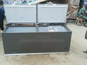 Hisense Double Door Chest