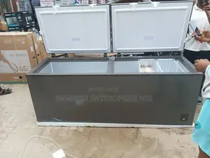 Hisense Biggest Double Door Deep Freezer