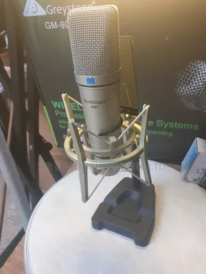 High Quality Bridsinger U87 Condenser Microphone