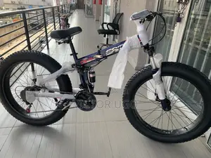 Adult Bicycle