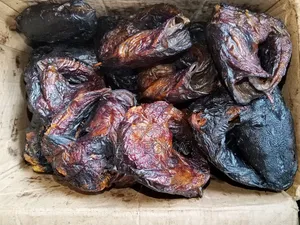 Fresh, Sand-Free Dry Mangala Fish (Wholesale Retail)