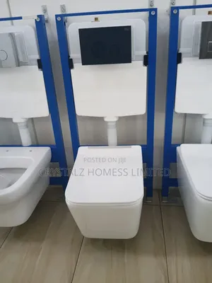 Roca Wall-Hung Toilet and Concealed Cistern System