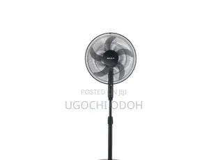 Maxi Fan Standing