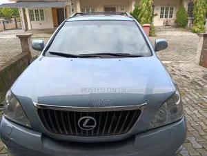 Lexus RX 2008 Blue