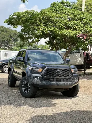 Toyota Tacoma Limited 2021 Gray